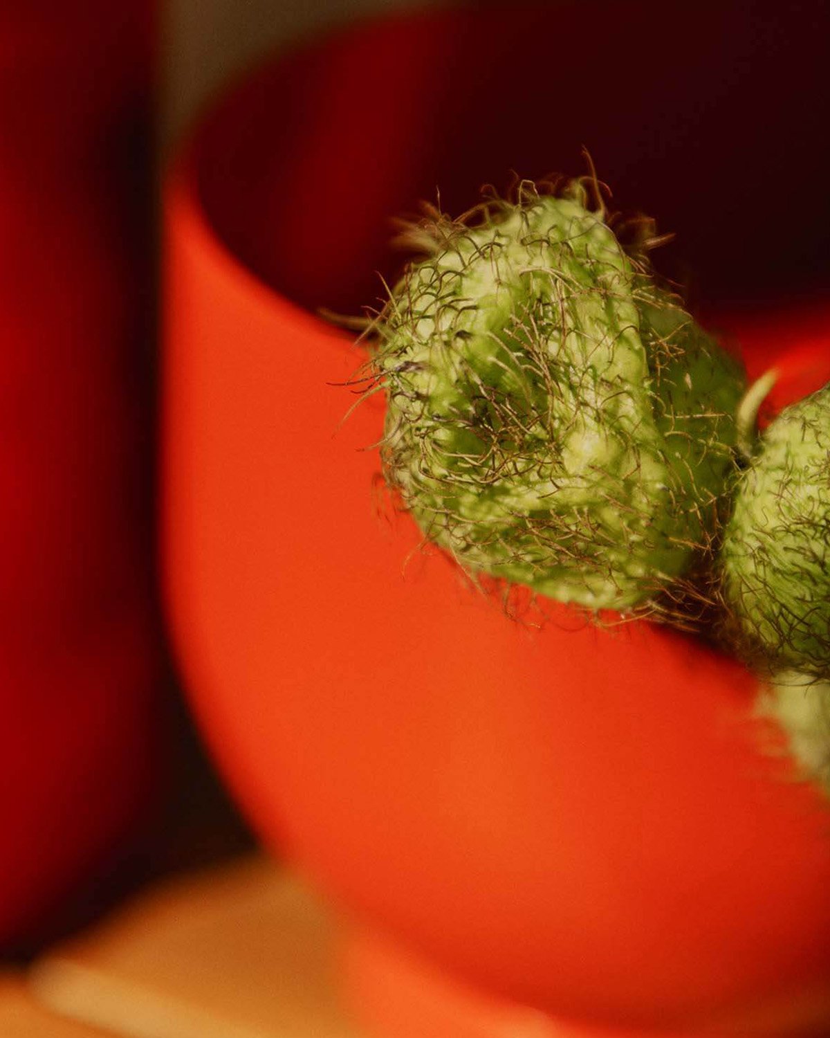 Dekorative Metallschale (Ø16 cm) Mito, Galeriebild 3