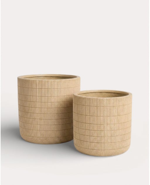 Set mit 2 Niedrigen Zement-Efeututen Potos