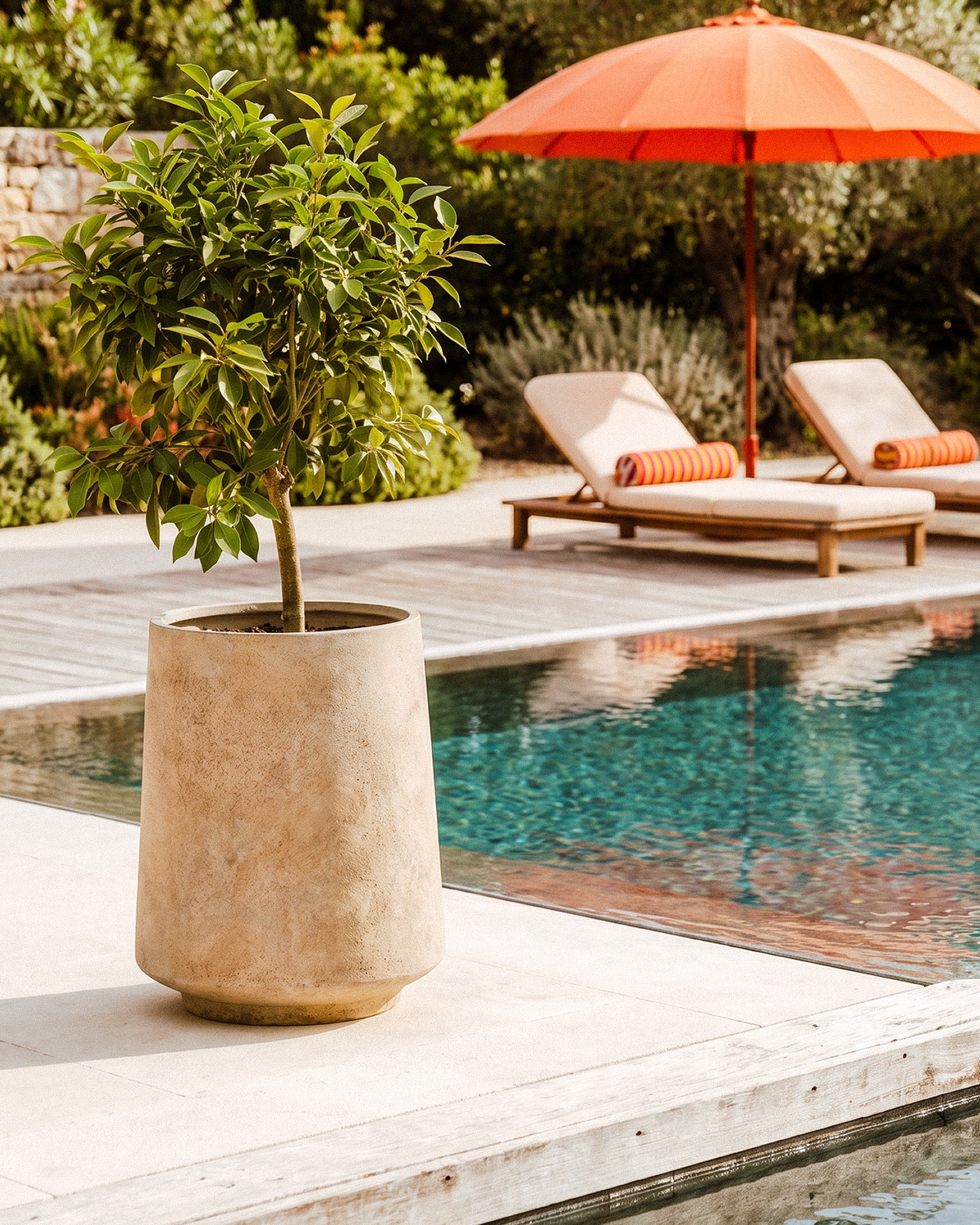 Rundes Pflanzgefäß aus Zement Deserts, Galeriebild 2