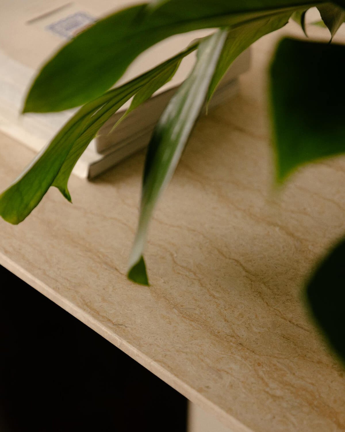 Consola de Mármol Egipcio y Madera de Mango (119,5x40 cm) Amatis, imagen de galería 3