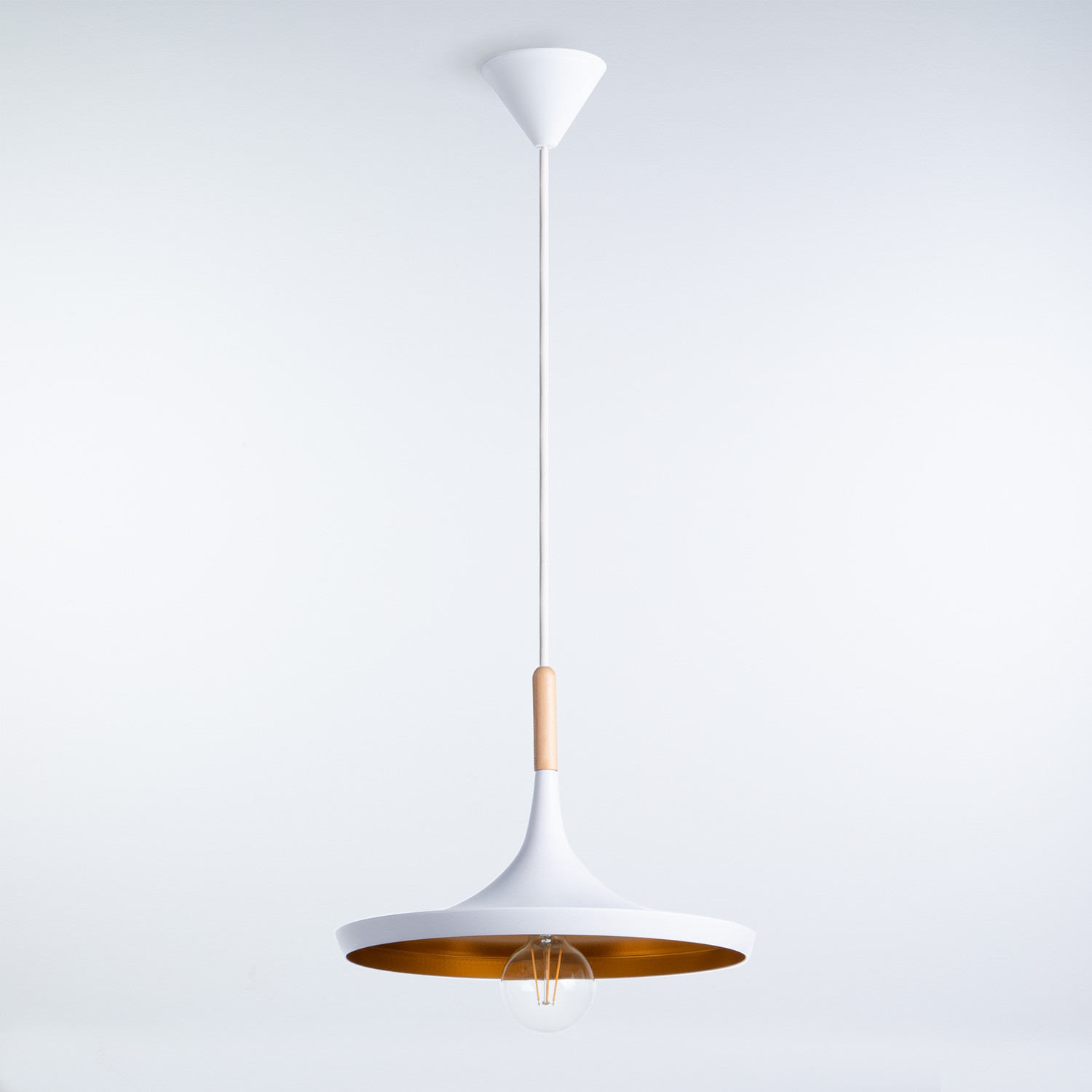 Lámpara de Techo de Acero Gold Horizon, imagen de galería 1