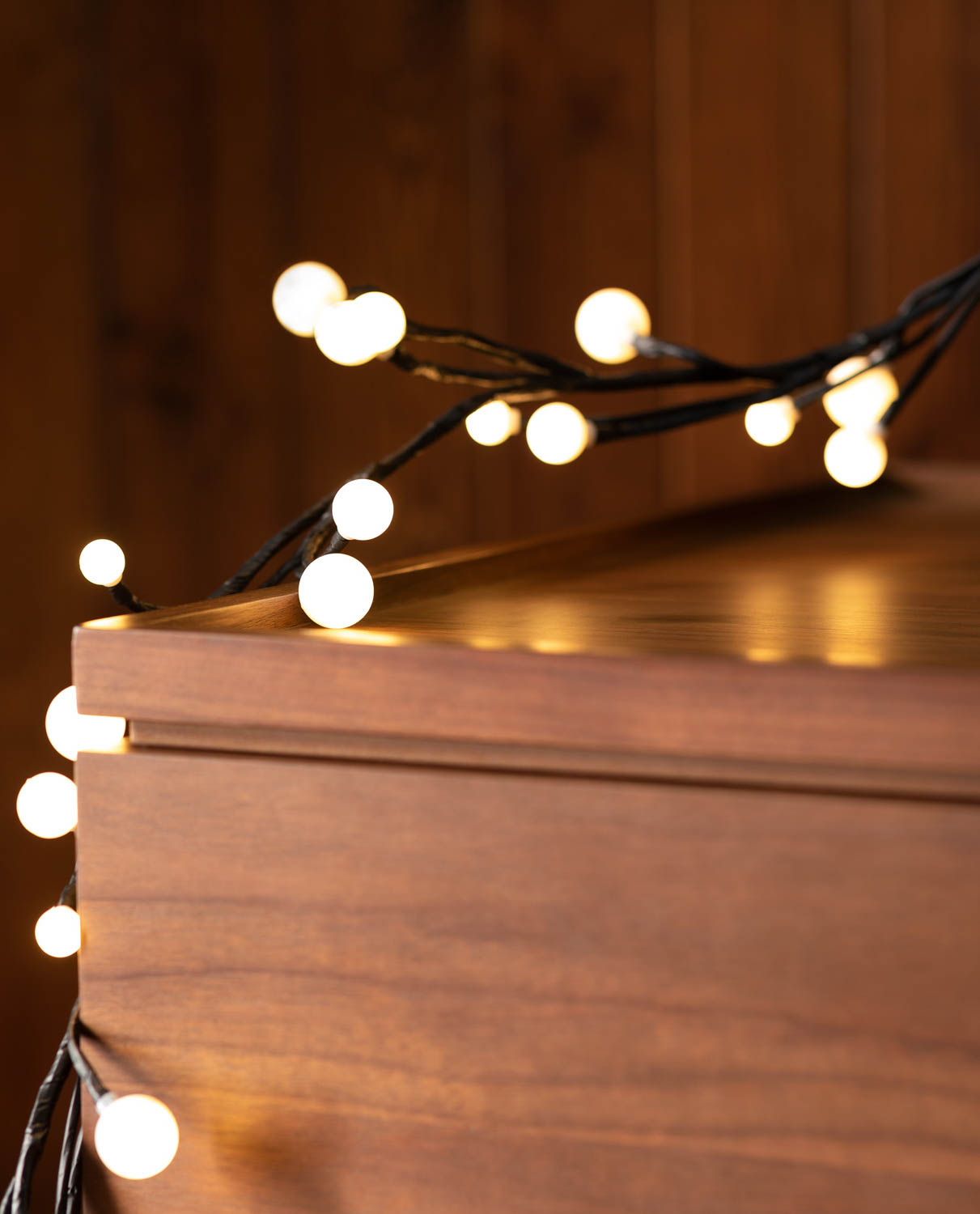 Guirlande d'Extérieure Décorative LED Rams, image de la gelerie 2