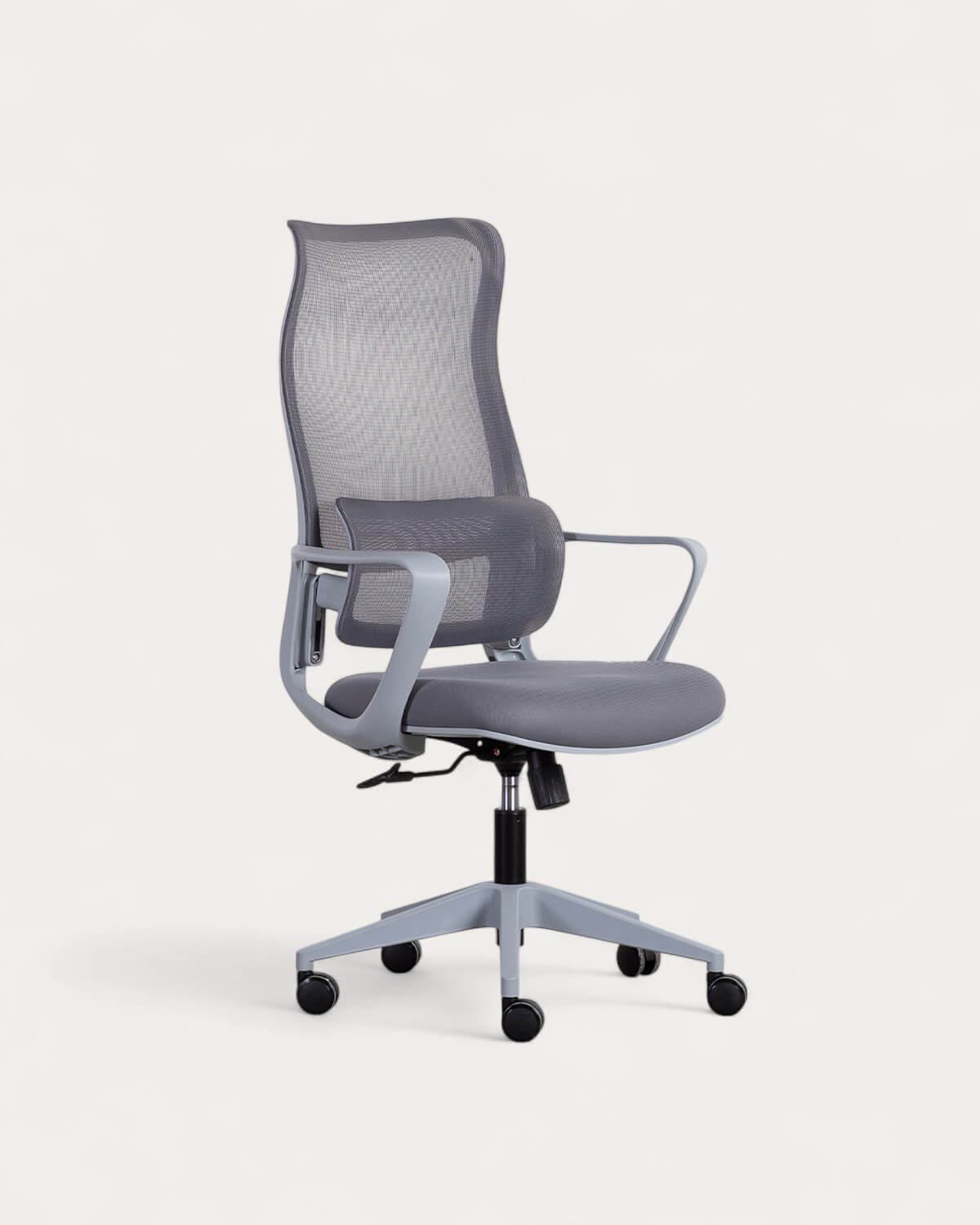 Chaise de Bureau Réglable avec Accoudoirs Hedara, image de la gelerie 1