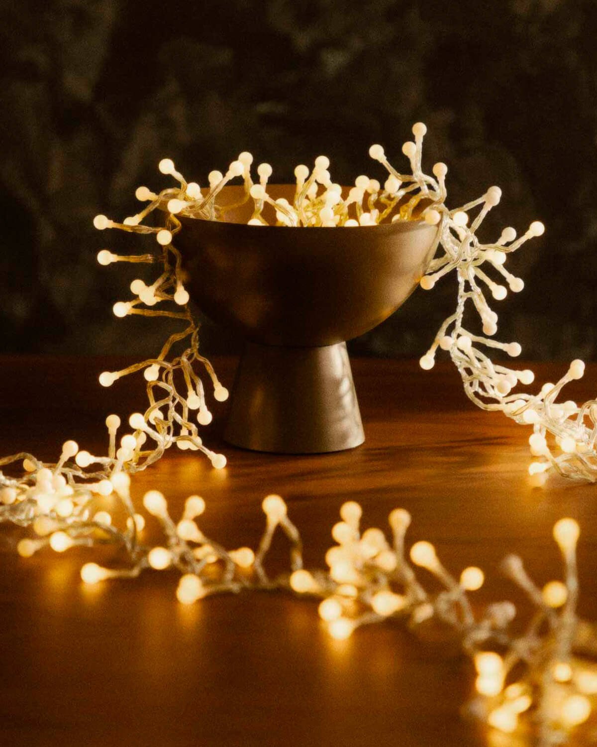 Guirlande d'Extérieure Décorative LED Cerez, image de la gelerie 2