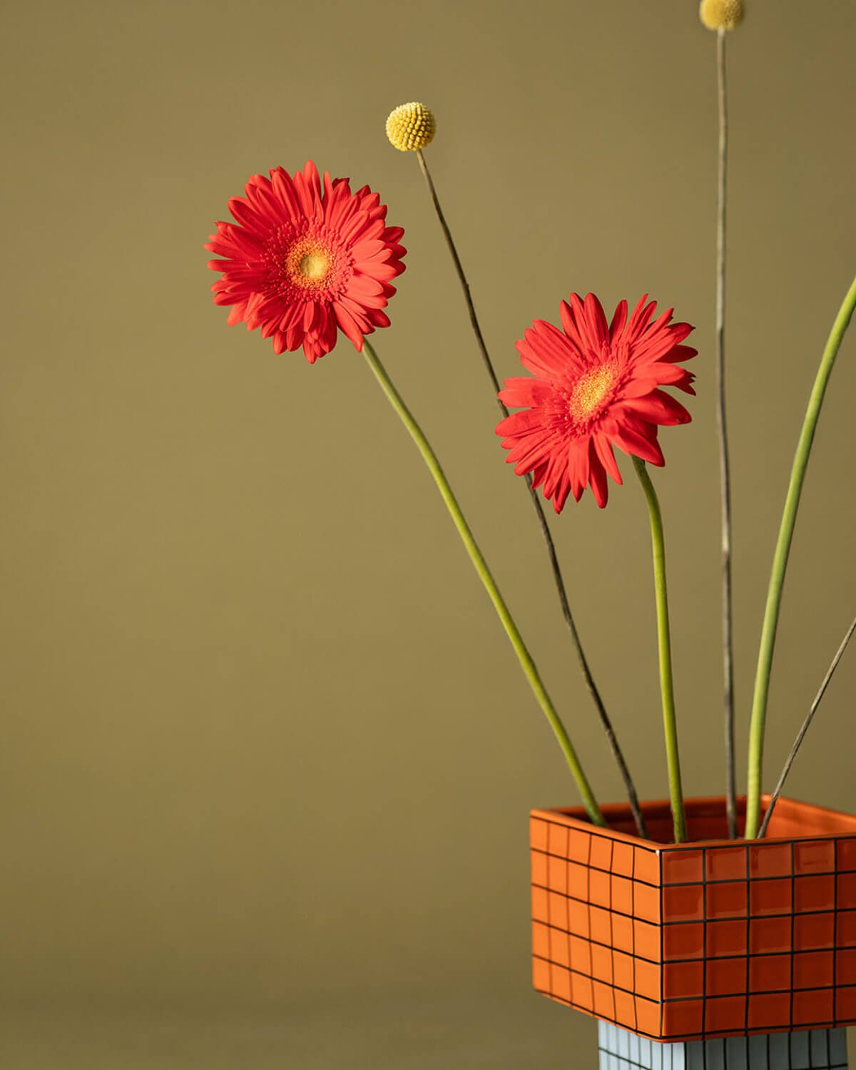 Vase Dolomite Zele, image de la gelerie 3