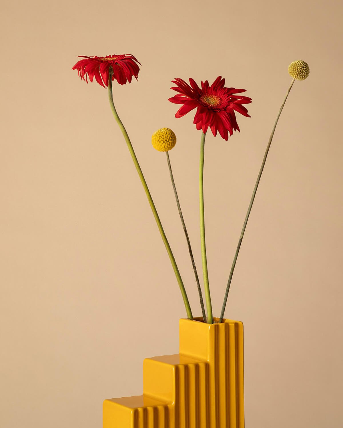 Vase Dolomite Obed , image de la gelerie 3