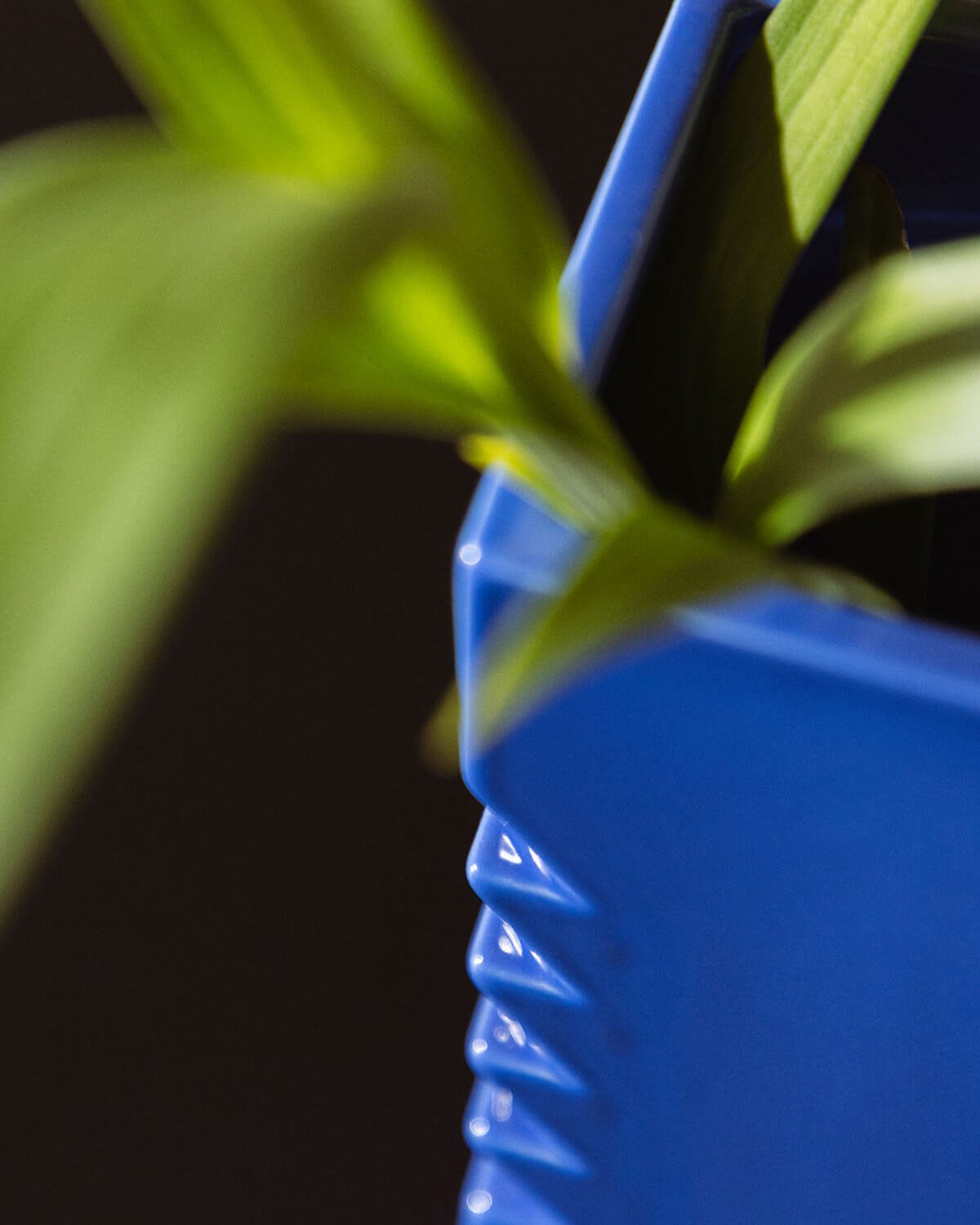 Vase Dolomite Gaudi , image de la gelerie 3