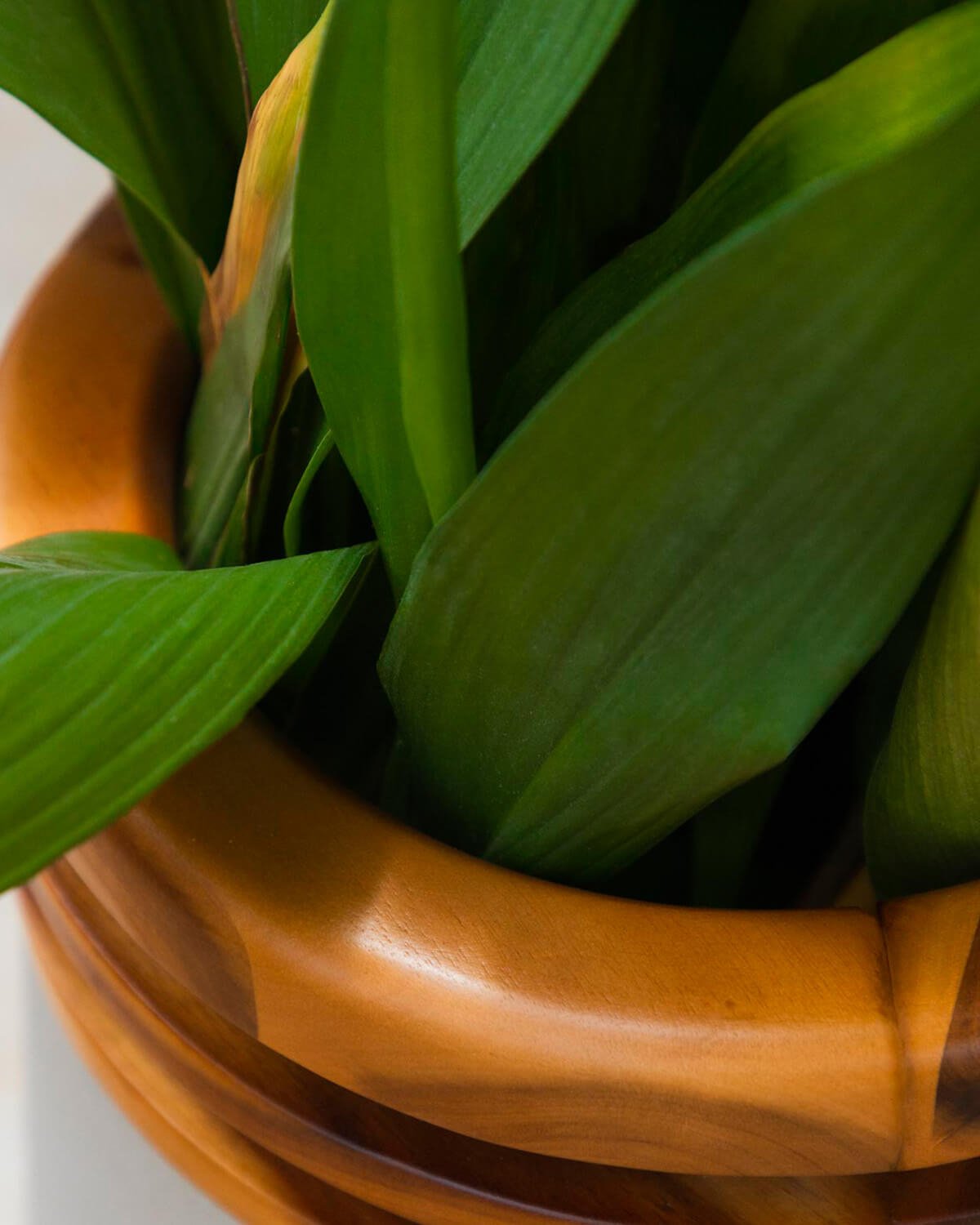 Jardinière en Béton et Bois D'acacia M (43xØ31 cm) Hazan, image de la gelerie 3