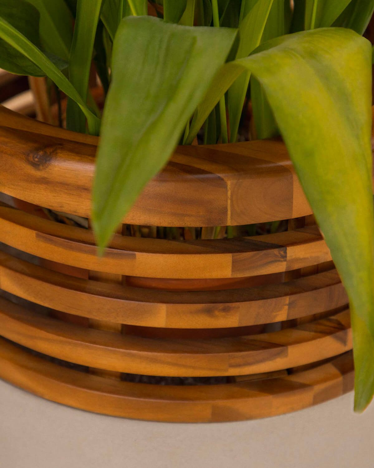 Jardinière en Béton et Bois d'Acacia XXL (80xØ48 cm) Hazan, image de la gelerie 3