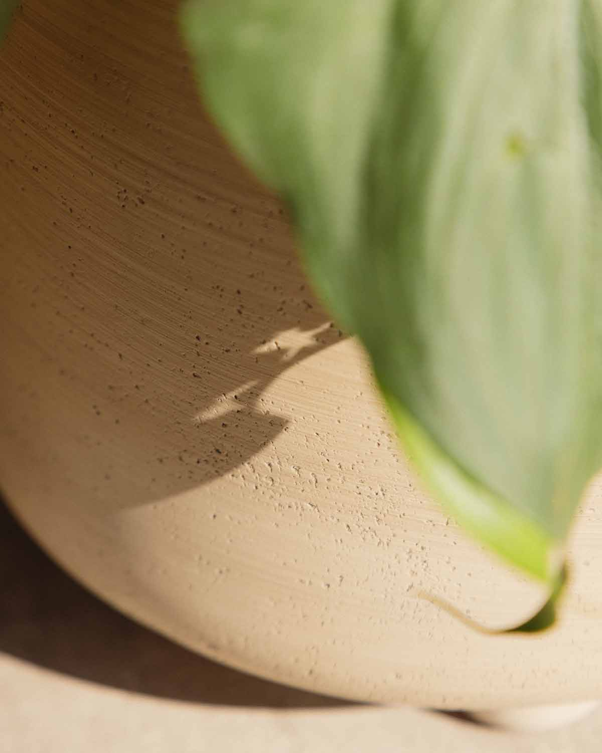 Pot de Fleurs Rond en Ciment Petunia, image de la gelerie 6