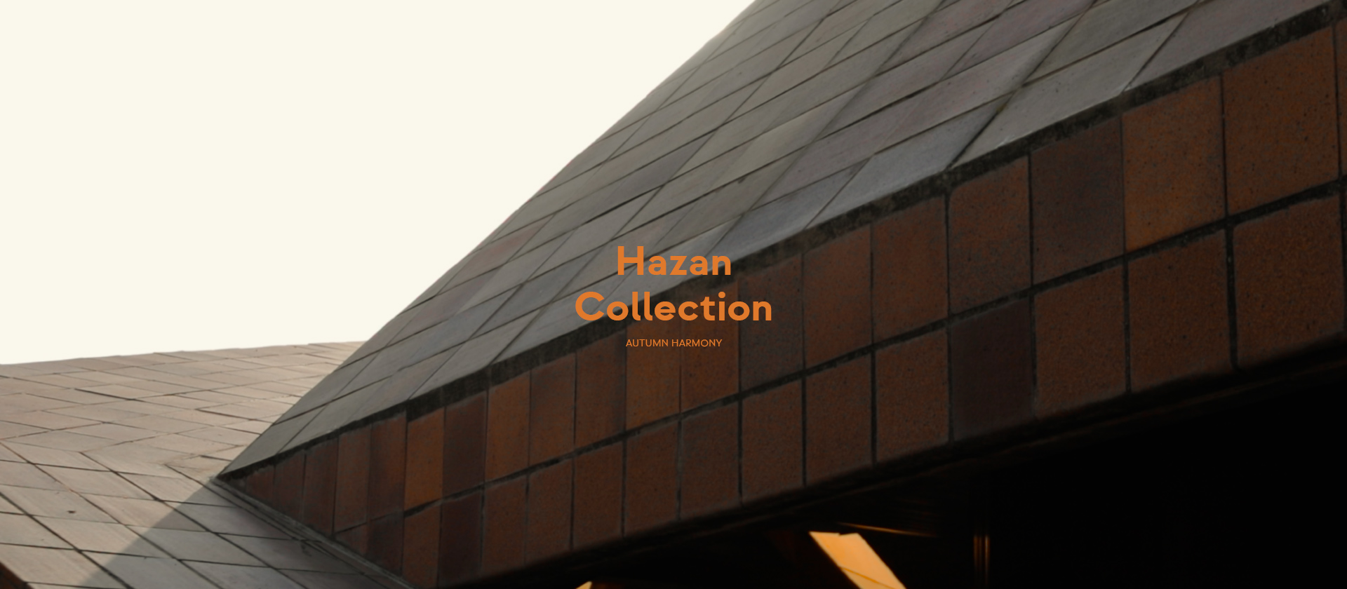 Hazan Collection