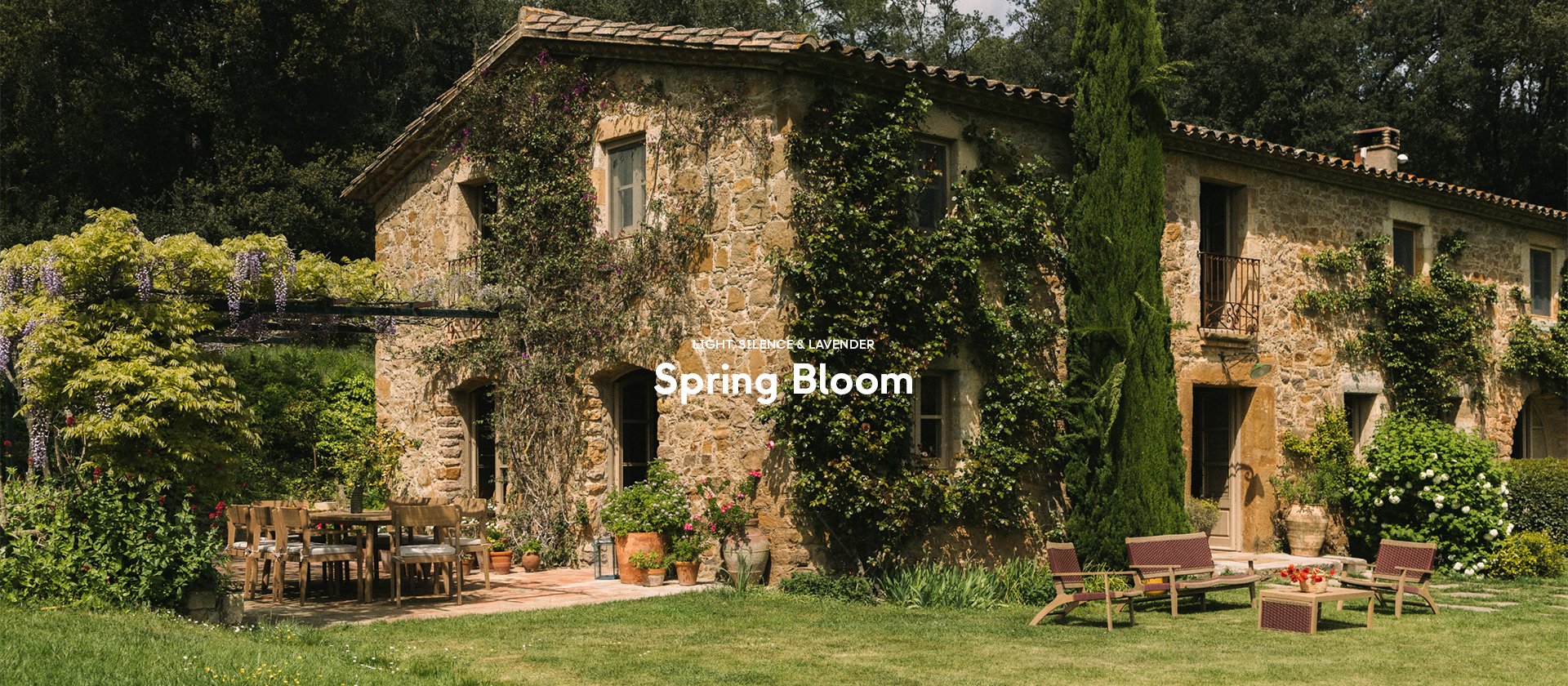 SPRING BLOOM