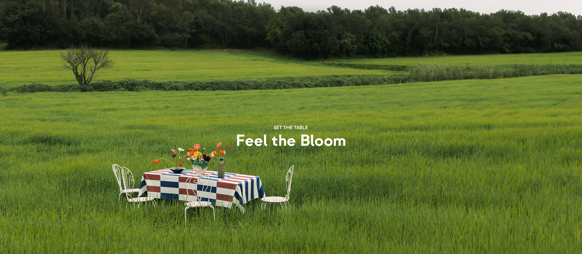 FEEL THE BLOOM