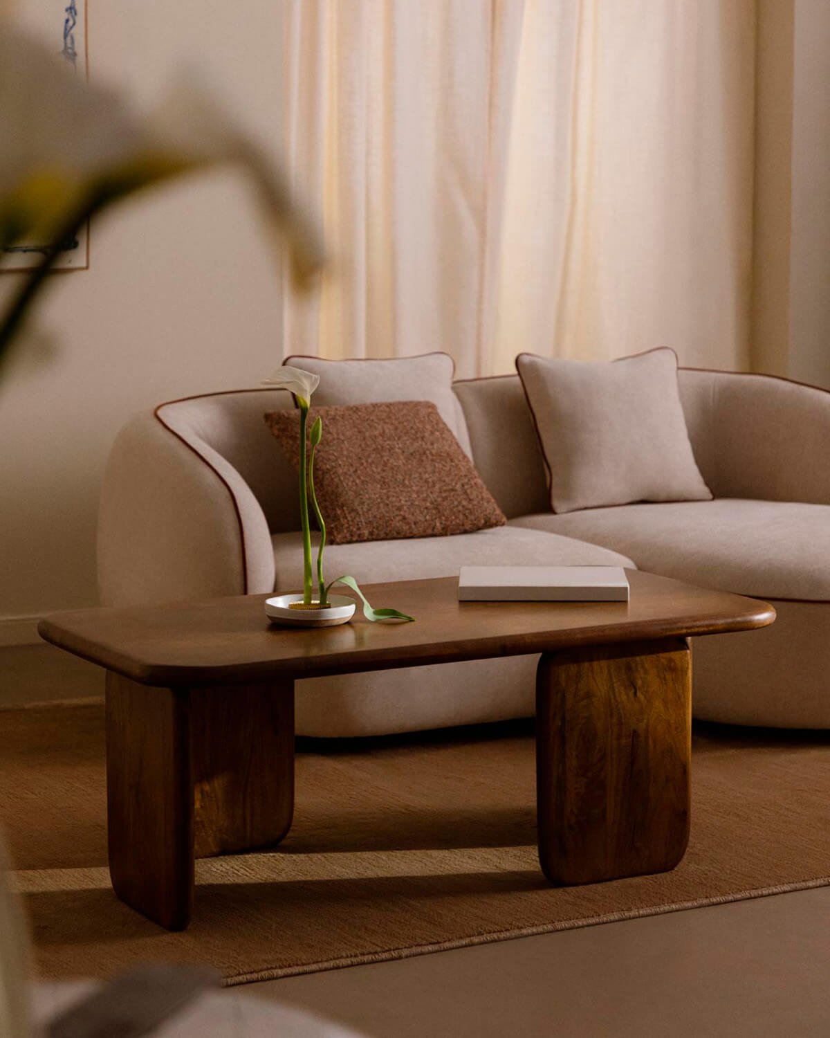 Tavolino Rettangolare in Legno di Mango (120X60 cm) Eliez, immagine della galleria 2