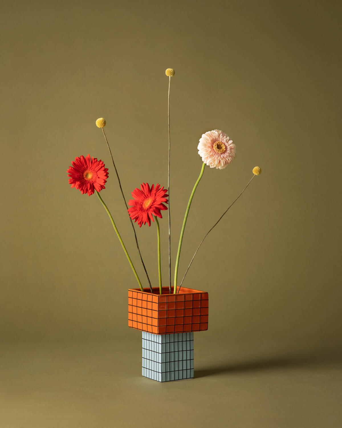 Vaso Dolomitico Zele, immagine della galleria 2