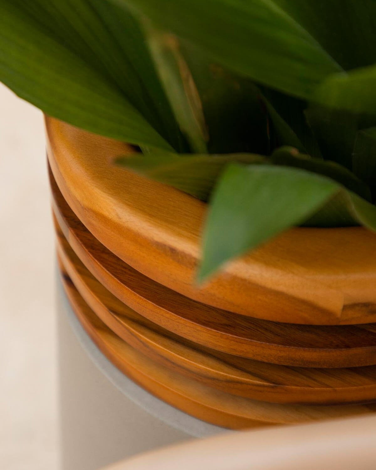 Set di 3 Fioriere in Cemento e Legno di Acacia Hazan, immagine della galleria 3