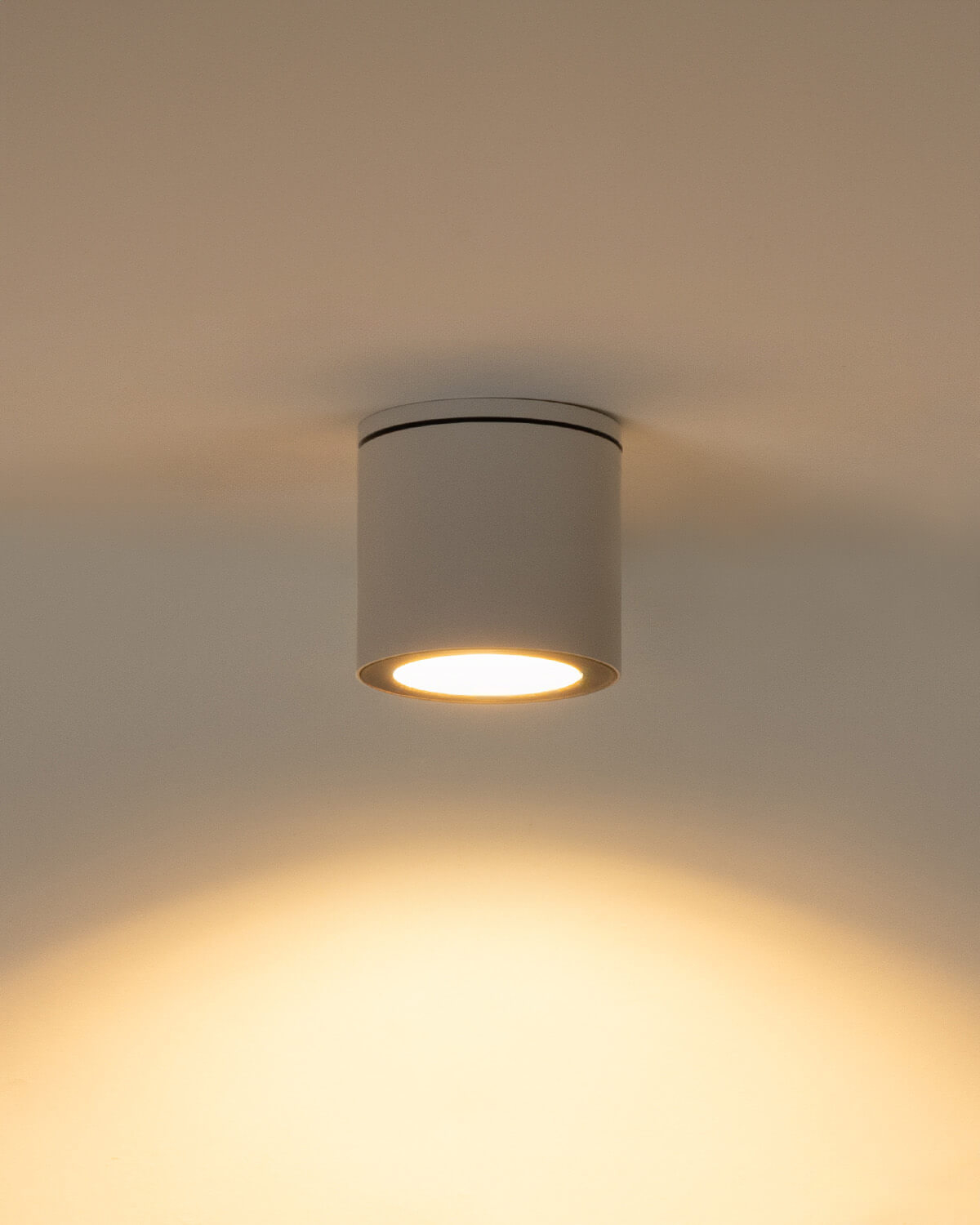 Lampada da Soffitto per Esterni in Alluminio Montse, immagine della galleria 2