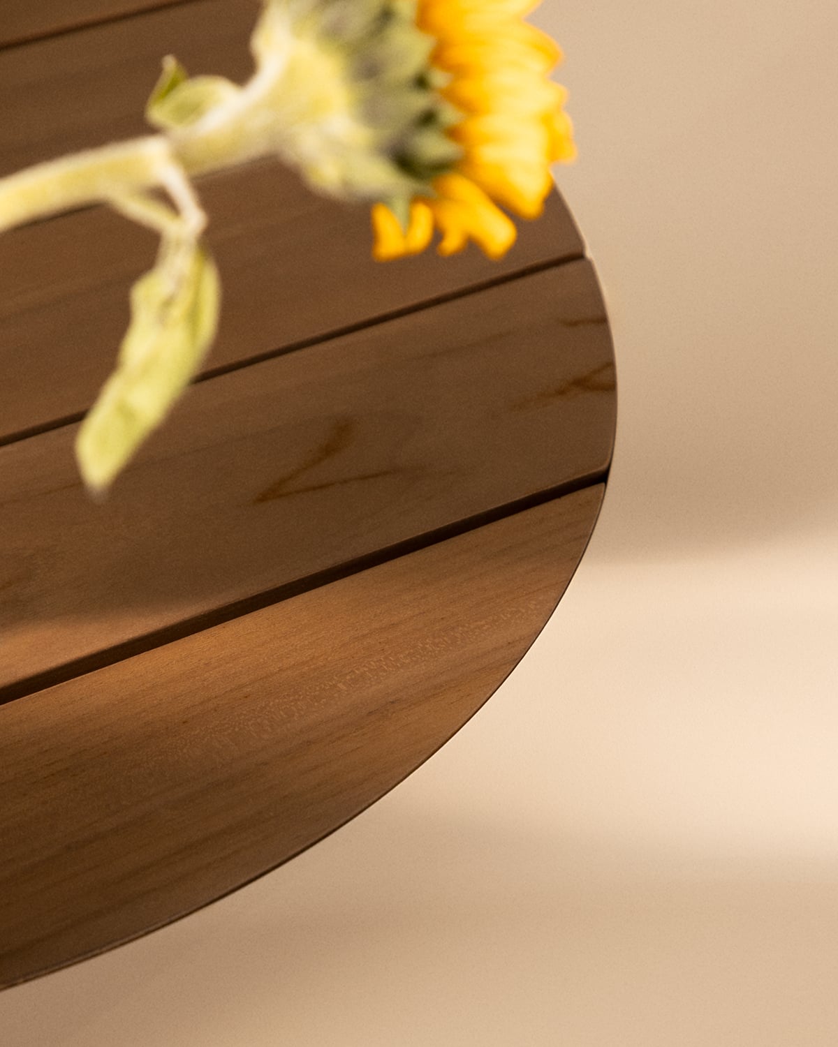 Tavolo da Pranzo Rotondo in Metallo e Legno di Teak (Ø110 cm) Lirae, immagine della galleria 3