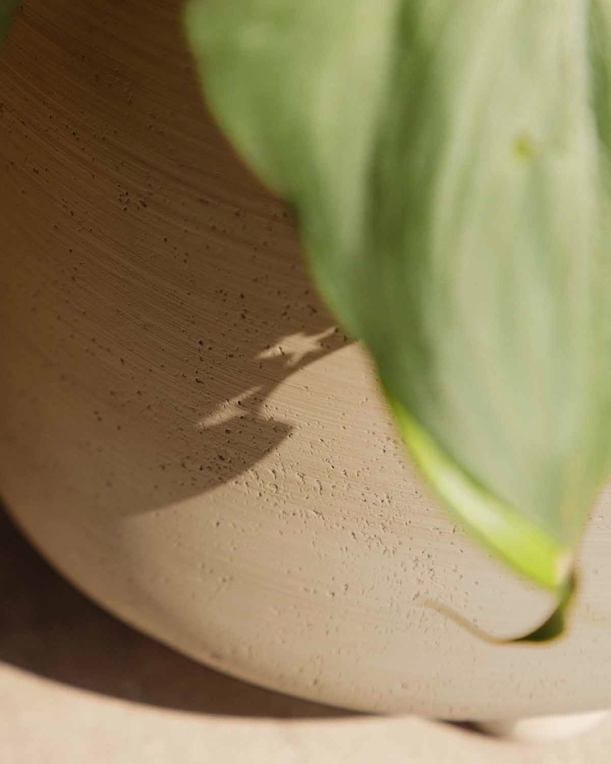 Vaso per piante rotondo in cemento Petunia, immagine della galleria 4
