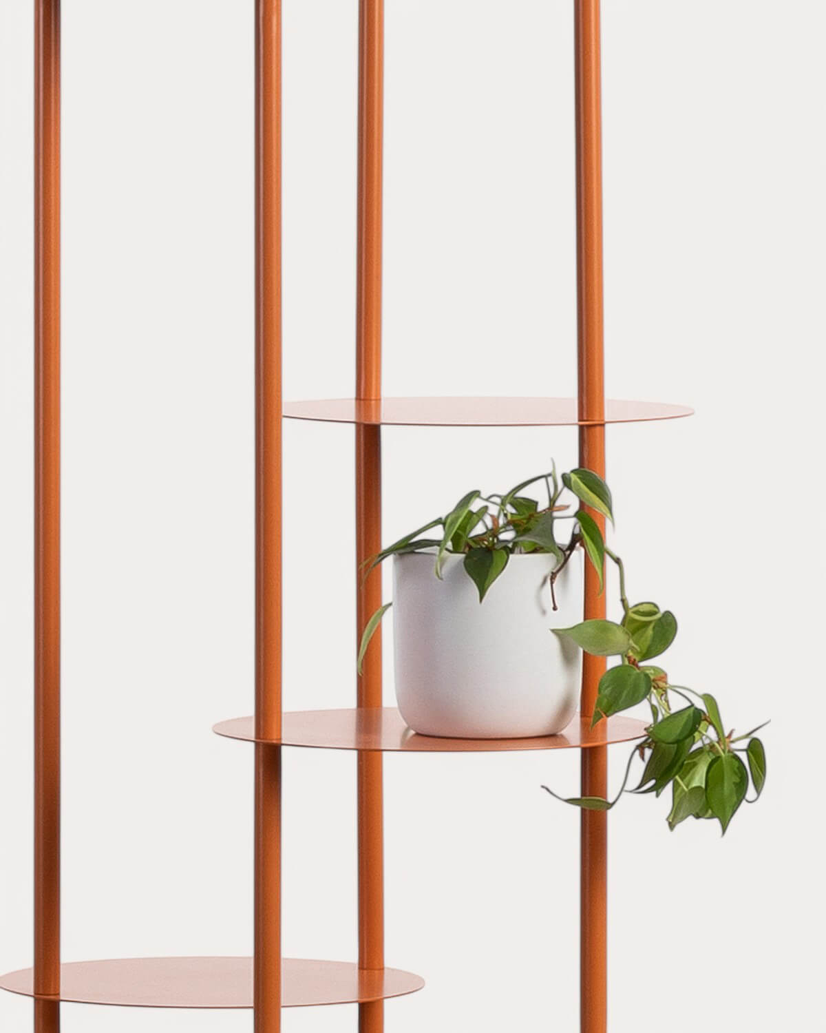 Prateleira para Plantas de Metal Eilam, imagem de galeria 6