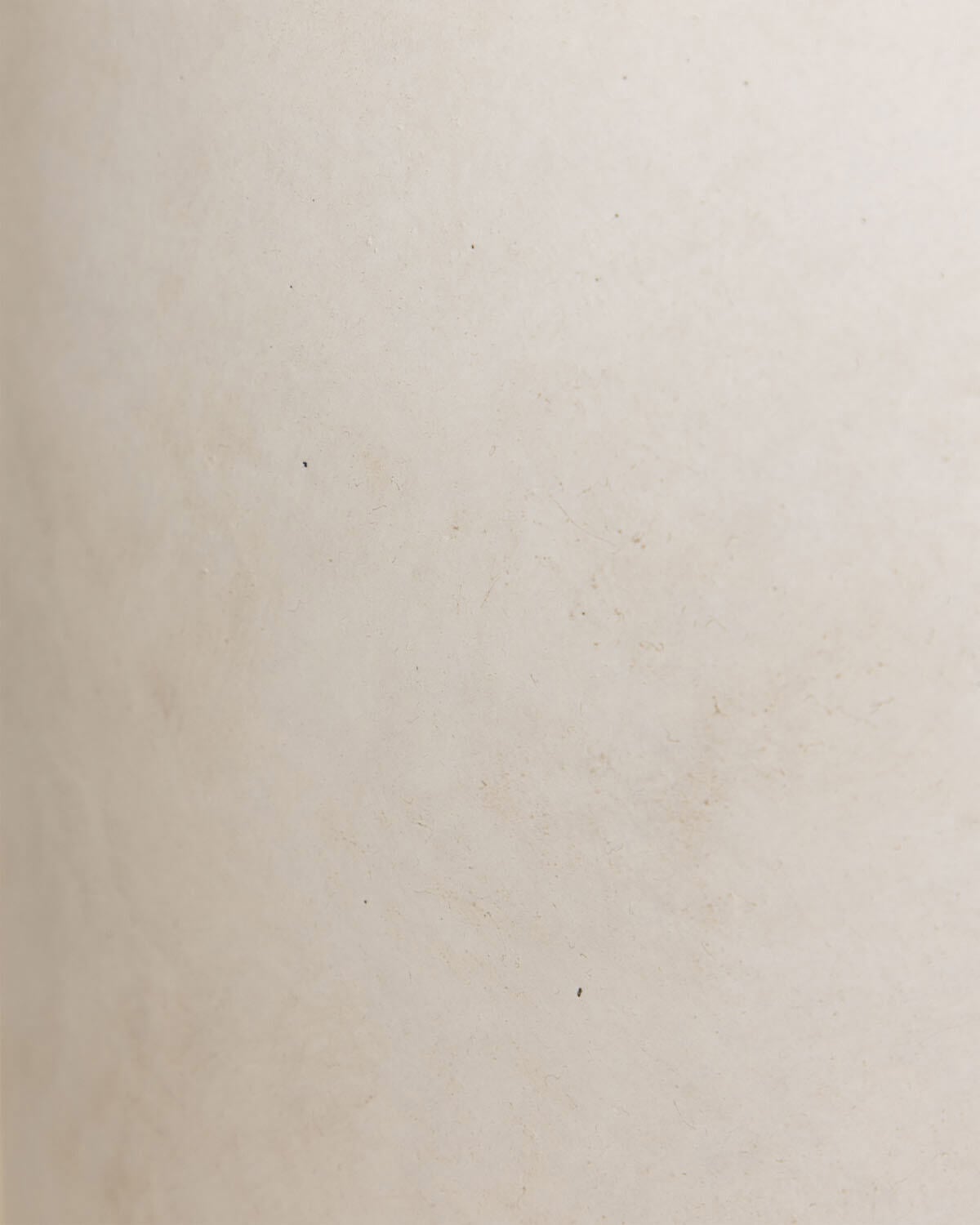 Vaso de Cimento Alto e Redondo Fitonia, imagem de galeria 4