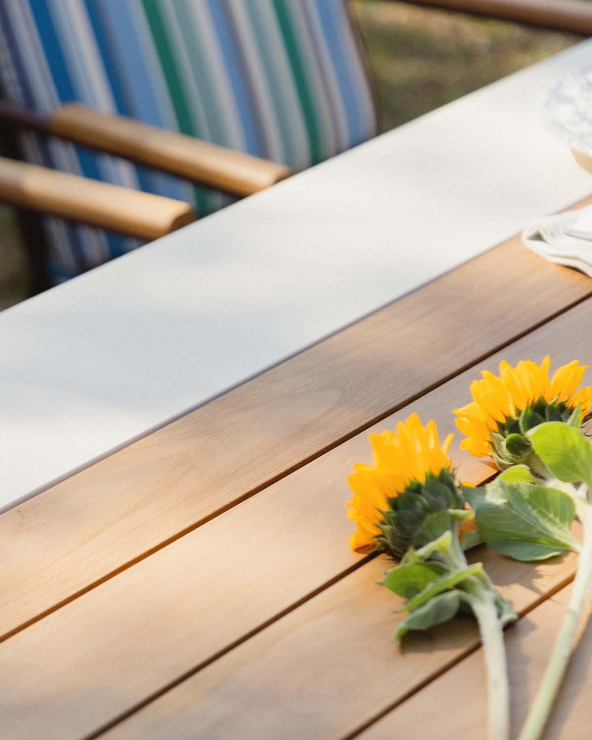 Conjunto de Mesa Retangular (220x110 cm) Lirae e 8 Cadeiras em Metal e Madeira com Apoio de Braços Edimbra para Uso Externo, imagem de galeria 6