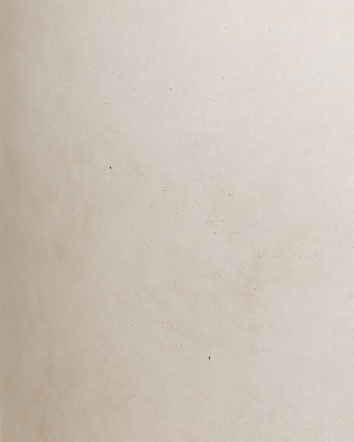 Conjunto de 2 Vasos Altos de Cimento Fitonia, imagem de galeria 5