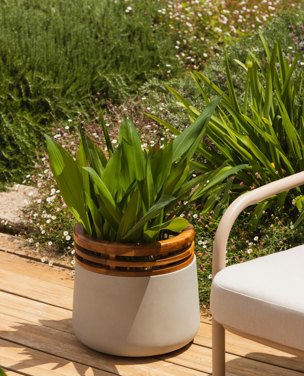 Concrete and Acacia Wood Planter S (34xØ38 cm) Hazan, gallery image 2