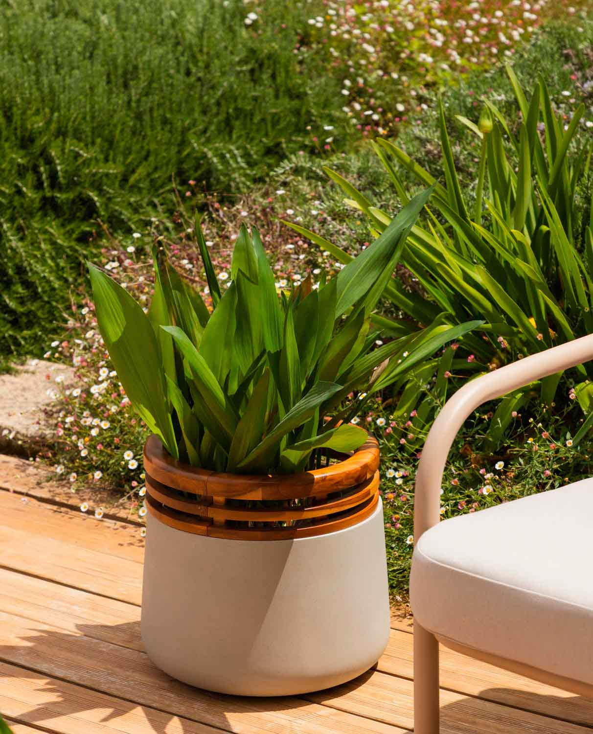 Concrete and Acacia Wood Planter S (34xØ38 cm) Hazan, gallery image 2
