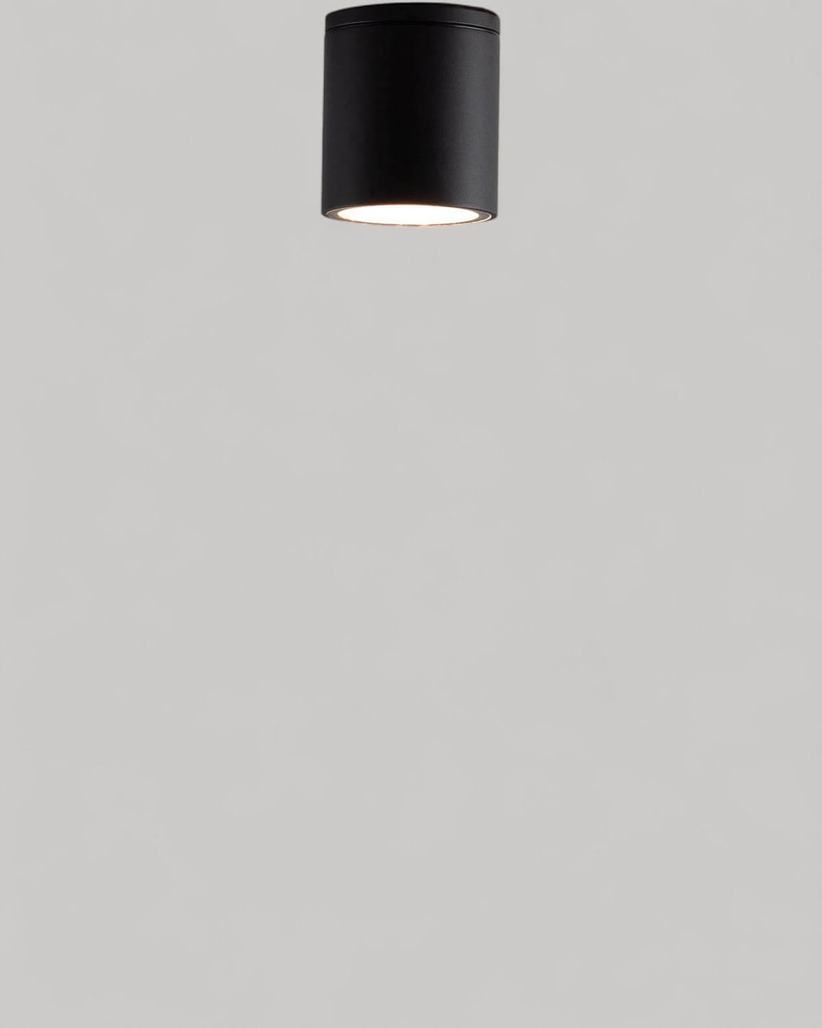 Dreas Metal Exterior Ceiling Light, gallery image 2