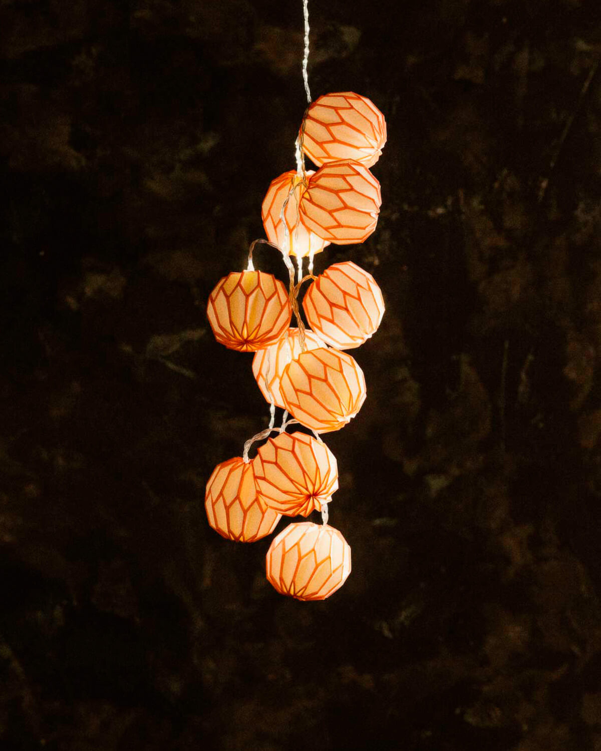  Decorative LED Garland Lights Hexa  , gallery image 2