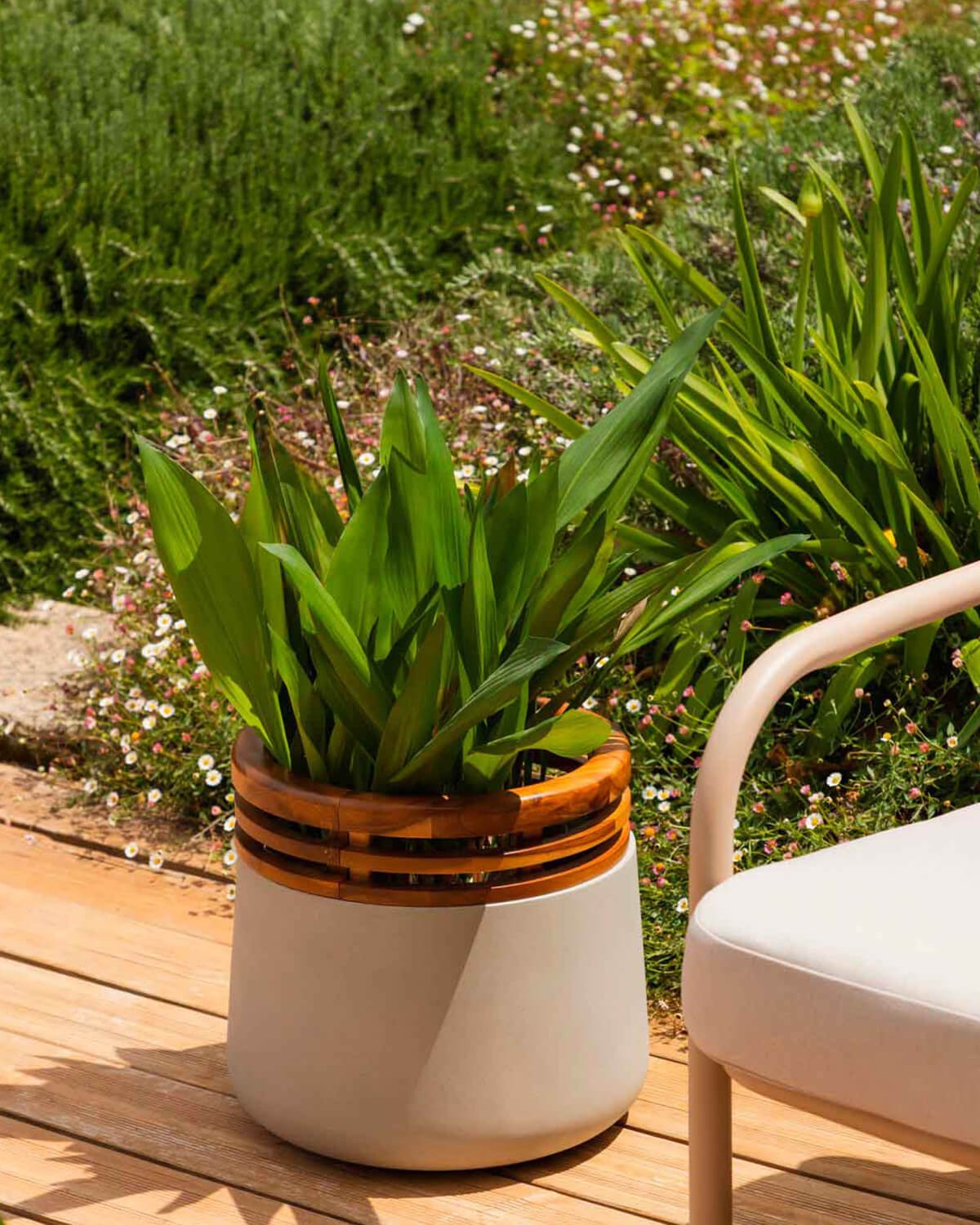 Concrete and Acacia Wood Planter S (34xØ38 cm) Hazan, gallery image 2