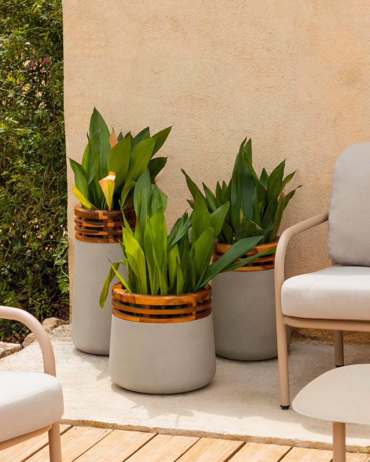 Set of 3 Concrete and Acacia Hazan Wood Planters, gallery image 2