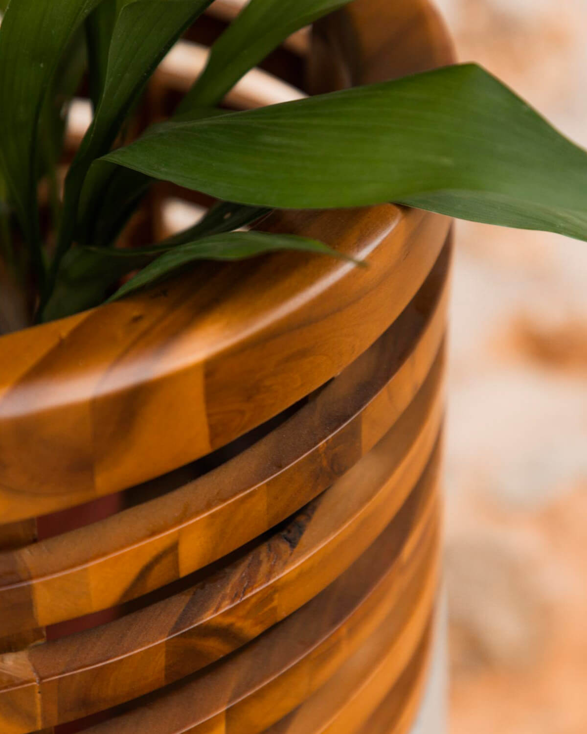 Set of 3 Acacia Concrete and Wooden Planters Hazan, gallery image 3