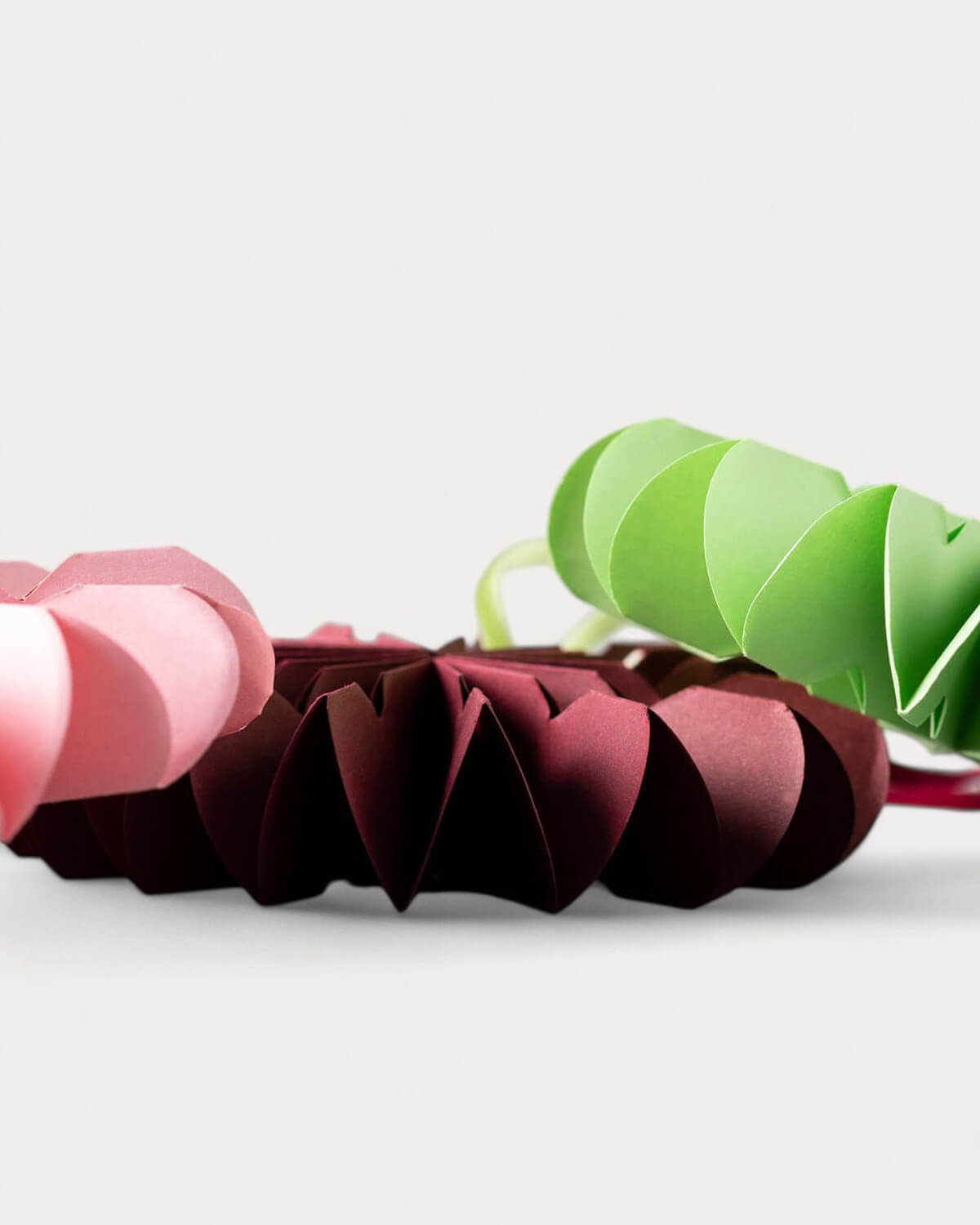 Set of 6 Decorative Craft Offset Wreaths Koda, gallery image 6