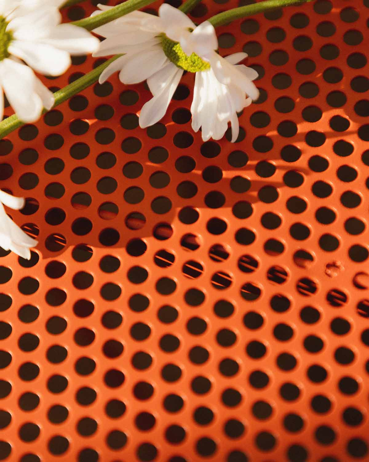 Outdoor Round Metal Table (Ø110 cm) Dorothea, gallery image 3