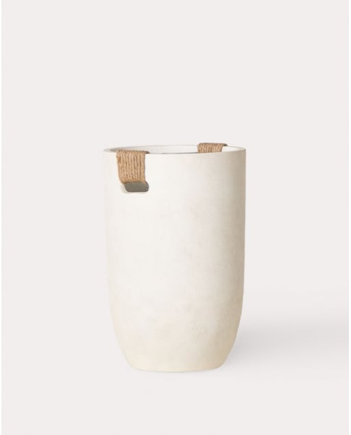 Tall Round Cement Planter Fitonia