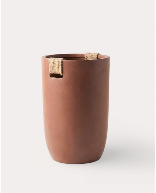 Tall Round Cement Planter Fitonia