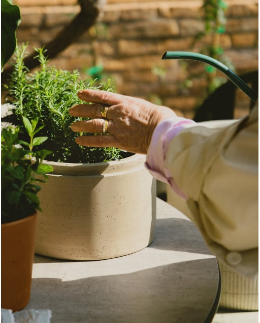Oval Cement Planter (45x23 cm) Bieito