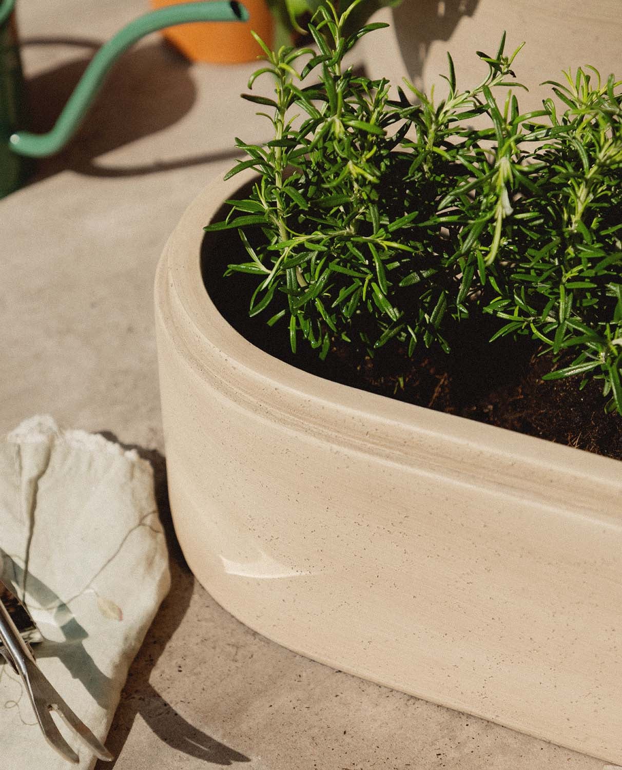 Oval Cement Planter (45x23 cm) Bieito, gallery image 3