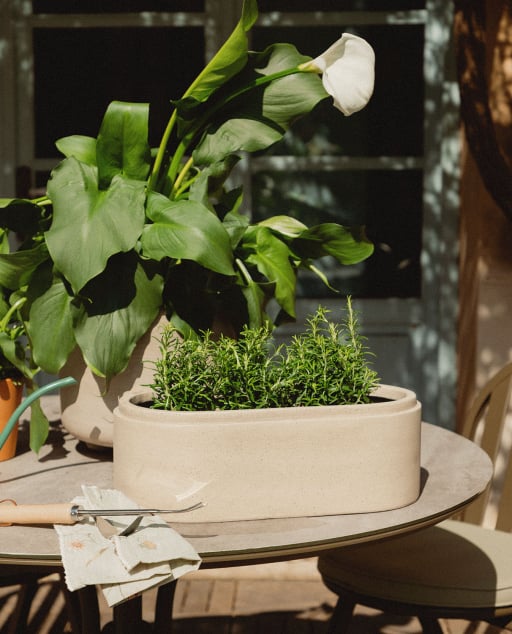 Oval cement planter 45x23 cm Bieito - Beige Seashell