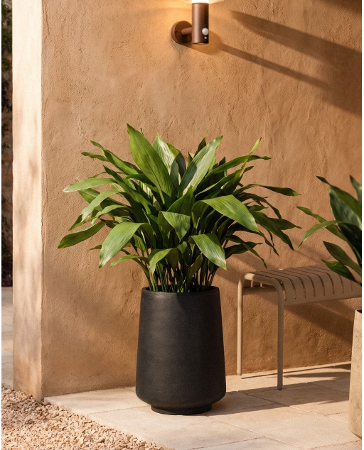Round cement planter Deserts