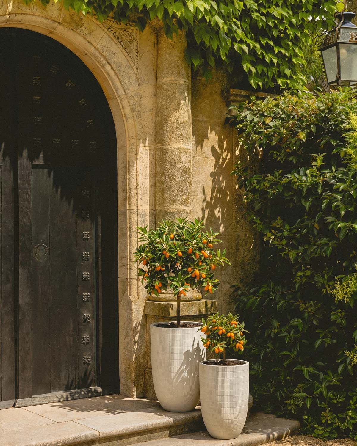 Set of 2 tall cement planters Potos, gallery image 2