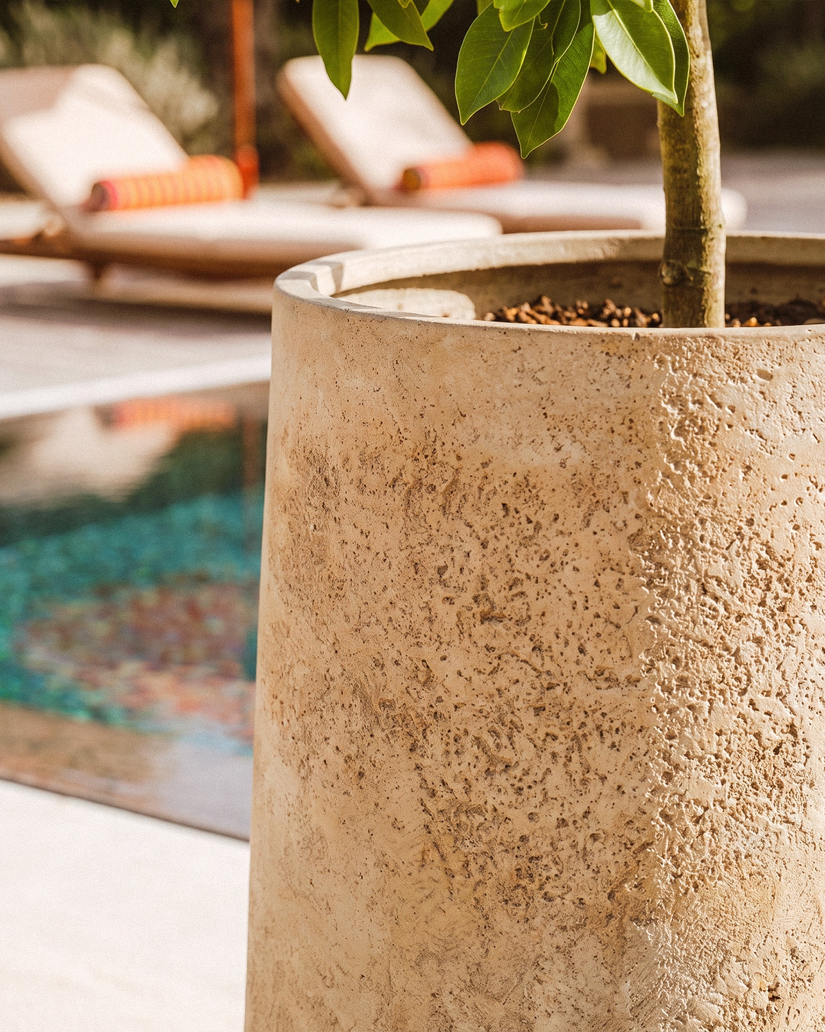 Round cement planter Deserts, gallery image 3